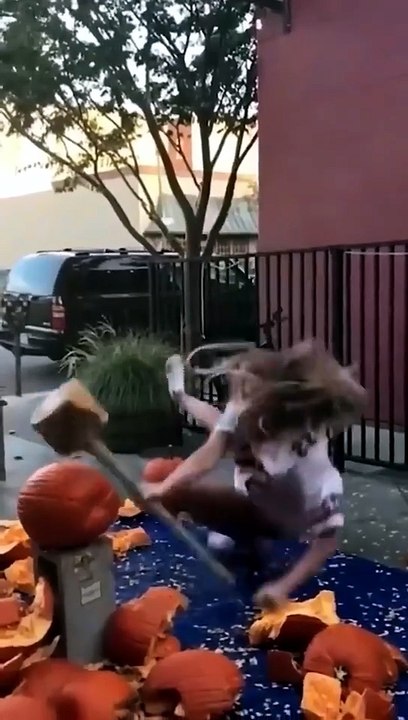 top funny video clips