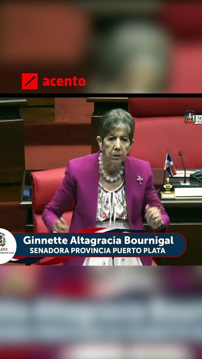 "No es la Policía, es la sociedad", afirmó la senadora Ginnette Bournigal durante su intervención en el Senado