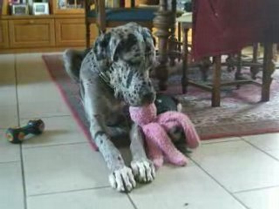 Feebee et Hubert, du jeu, du jeu, rien que du jeu