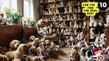#YourEyesVsTheDogs 👀⚔️🐕 Can You Find The Real Dog? (Part 6) 🐕