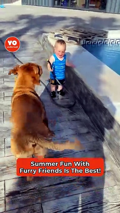 Joyful Baby Boy Shares Laughter with His Dog While Playing with Water