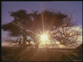 Les Cites d'or - doc