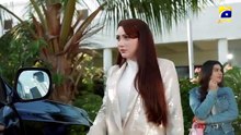 Muhafiz Episode 10