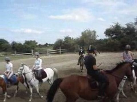 puissance cheval 1m35