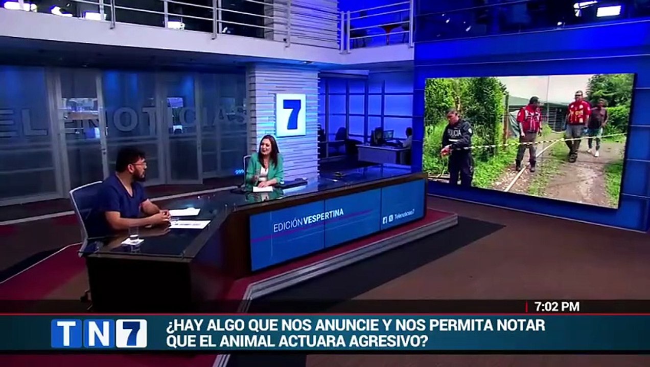 tn7-entrevista-dr-mauricio-jimenez-director-de-hospital-especies-pequenas-una-170426 [Full Movie]