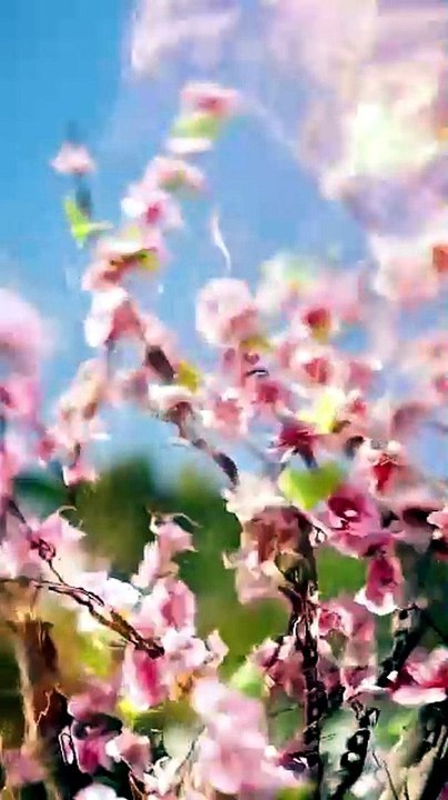 Help! A Fake Master Made Immortals🔥🔥 Chinese Drama - English Sub | Full Short Drama | English Sub 2026 [Full Movie]
