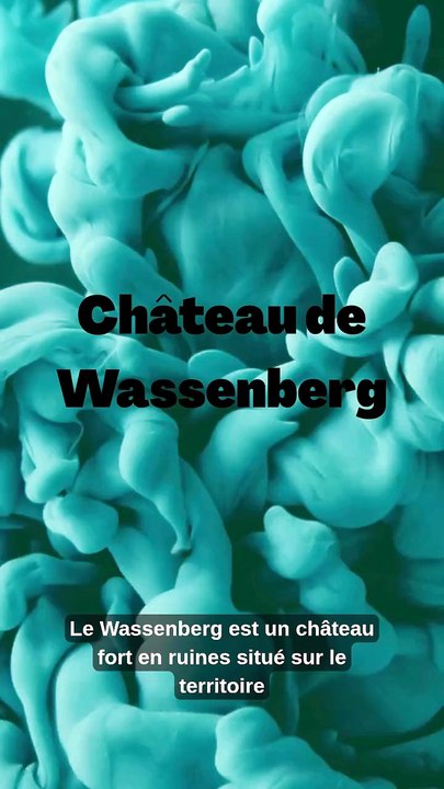 Château de Wassenberg