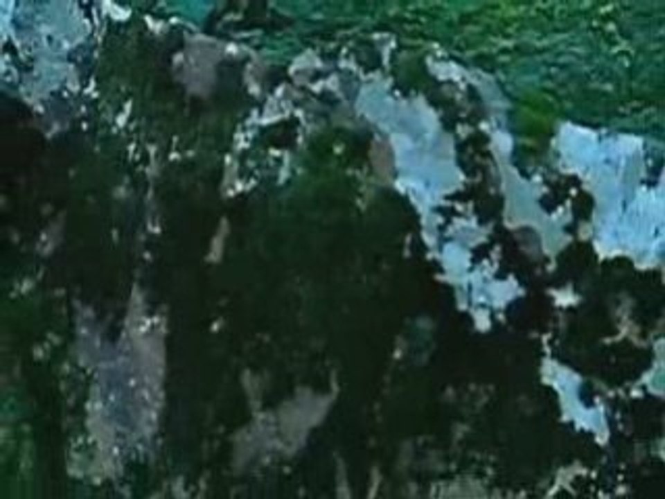 Enya Wood - only time