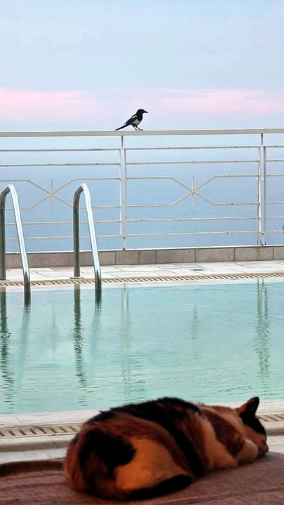 Λάμπρος Κωνσταντάρας: Στιγμές χαλάρωσης μακριά από τις κάμερες