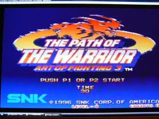 Art of fighting 3 : the path of Warrior