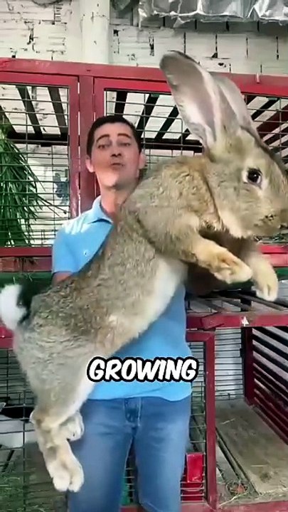 These Animals NEVER Stop Growing! 😱🐊 Mind-Blowing Facts You Won't Believe