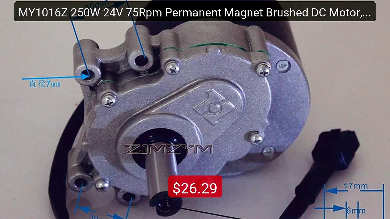 MY1016Z 250W 24V 75Rpm Permanent Magnet Brushed DC Motor, 44m... -- Amazing Value 2026 | Must Have!