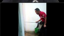 É UM CACHORRO