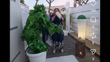 La pianta pazza gli scherzi