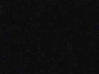 instrumentale feldman