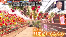 【高山一実_石森璃花】2026_07_06「Qさま!!」櫻坂461-BV1sLT967EyF