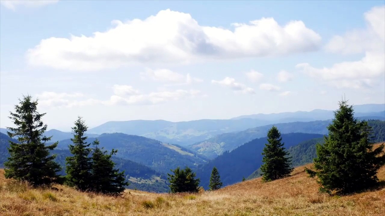 Cieli blu - Luca Caperna - Official Music Video