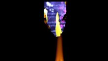 VID-20260629-WA0392