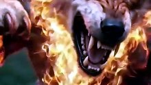 Fall in love with Claws and Fangs - FULL MOVIES ENGLISH SUB