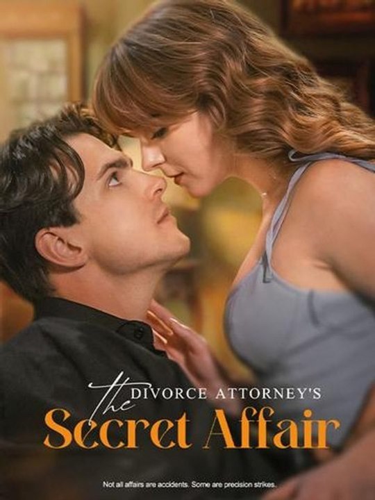 The Divorce Attorney S Secret Affair Goldreel Tv (Exclusive) - Full EPS