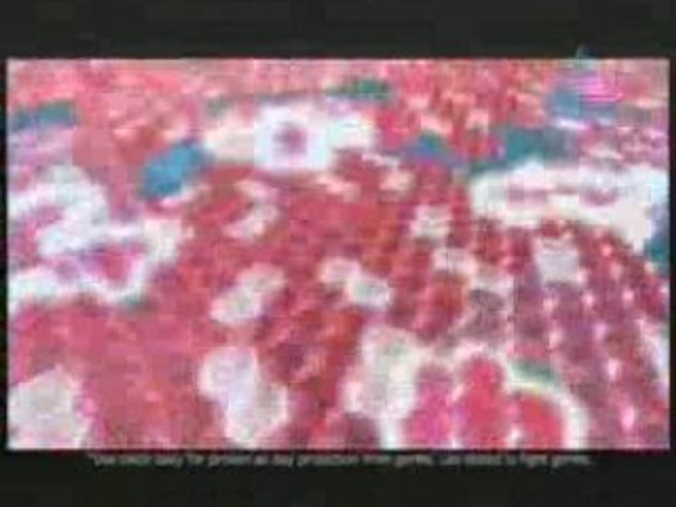 Idea -- 2008-07-02 Pt 07.mp4