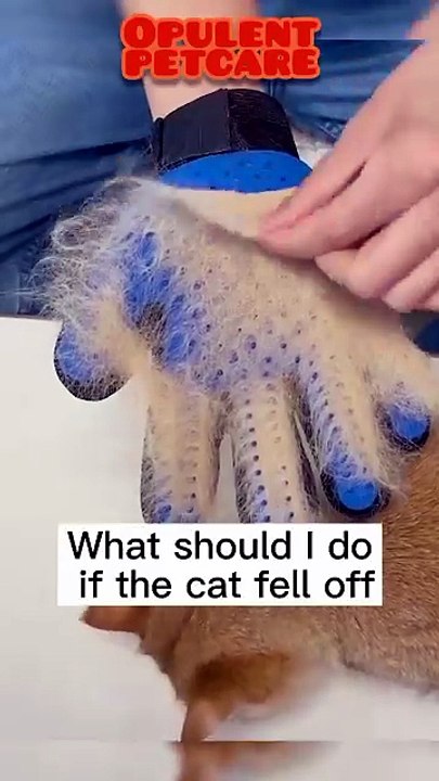 Five-Finger Deshedding Glove – 56% Off Pet Grooming Glove for Dogs & Cats