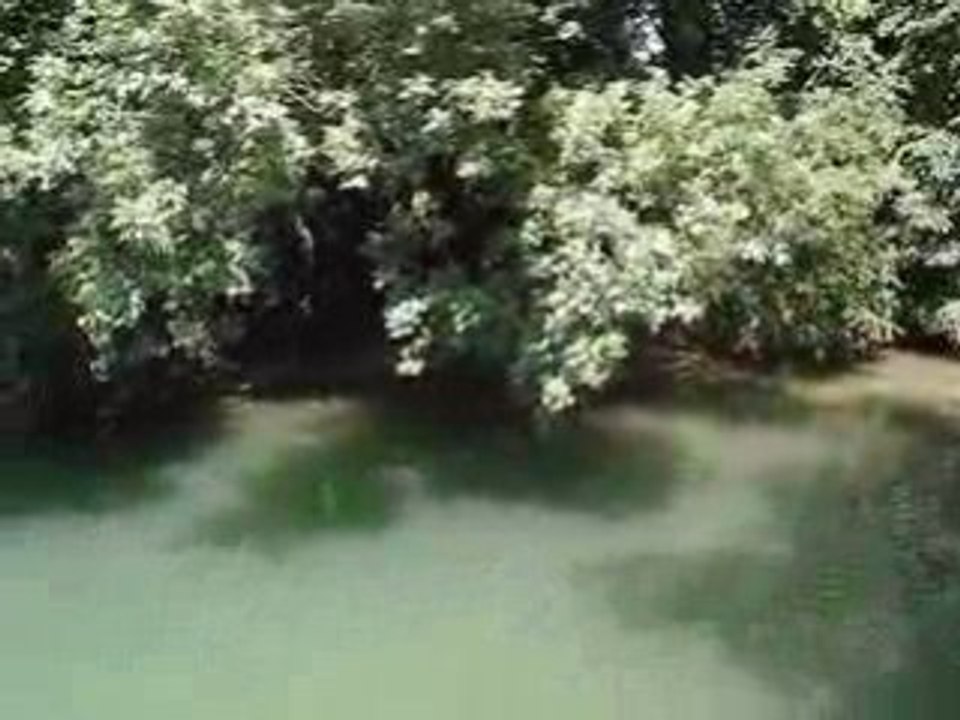 Brochet pris dans la tille