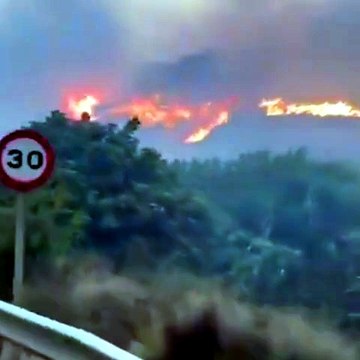 Más de 150 efectivos y 5 autobombas trabajan en la extinción del incendio forestal de Los Gallardos, en Almería