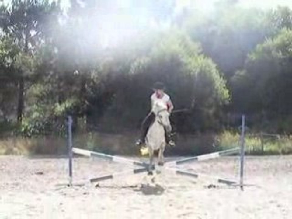 obstacle