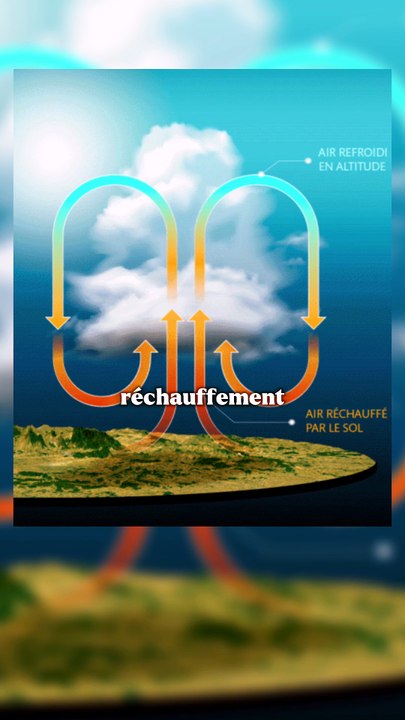 Comment se forment-ils ?