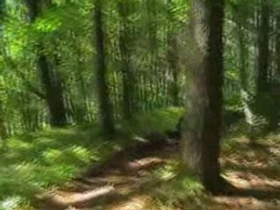 fr/dh Djédjé Fessy haute savoie 74