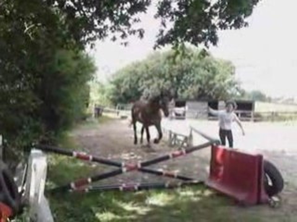norbert en carrière