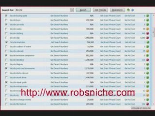 Micro Niche Finder Dominate Niche Markets on Google + ebay
