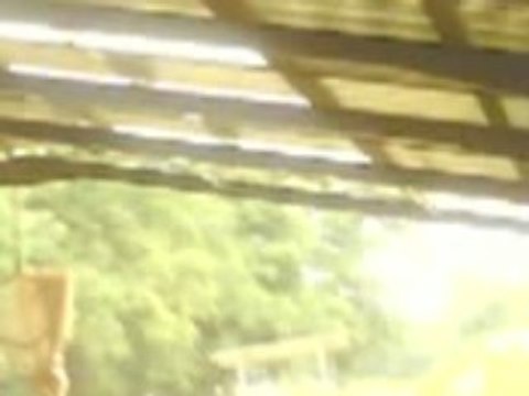 Ty poon's qui saute en liberté