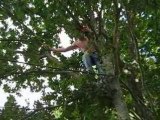 Hellfest 2008 - Mec perché sur un arbre