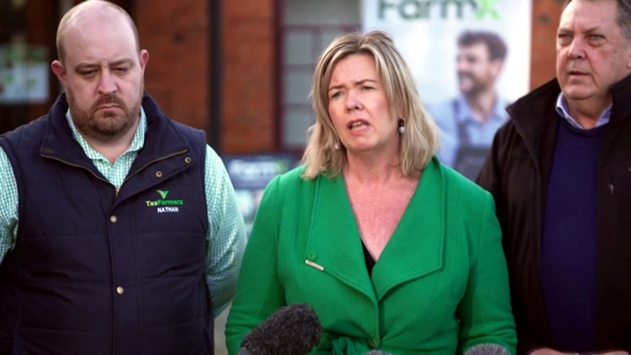 Tasmania’s largest farm sold to buyer with plans to convert it to pine plantation