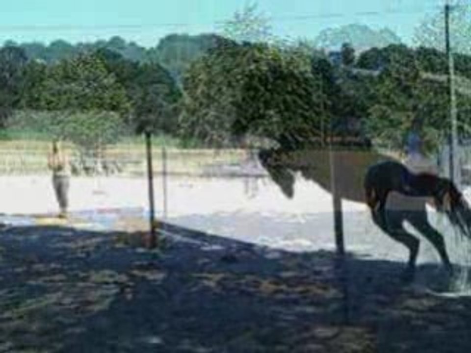 Saut d'obstacle avec Pantin