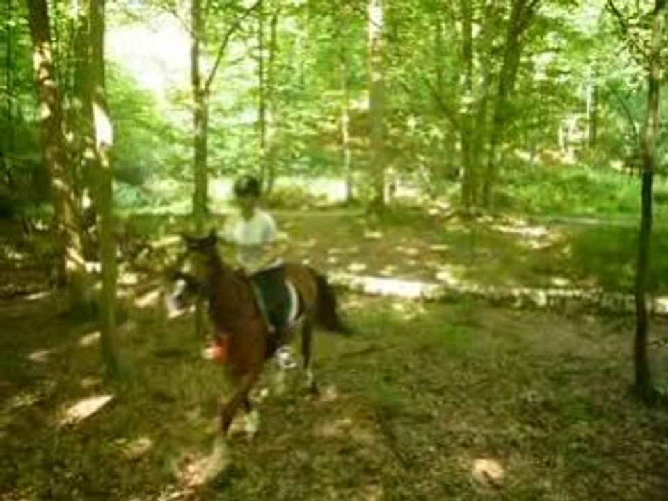 saut d'un tronc dans la fôret