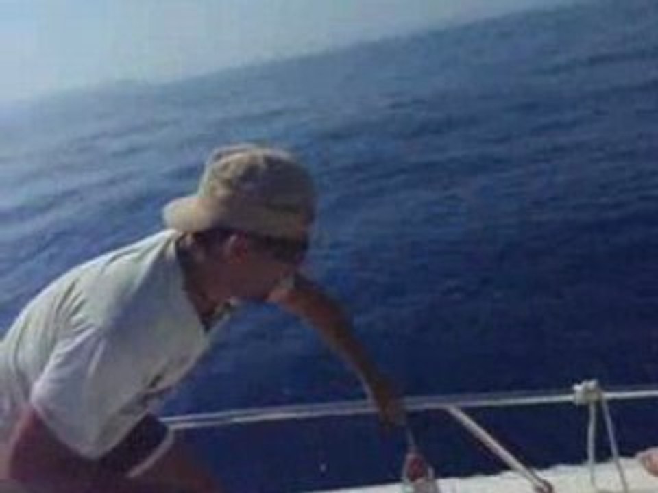 Une Journée entre Amis.