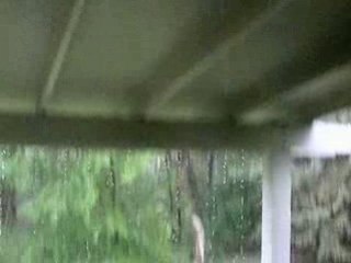 quand ça pleut, ça pleut ...