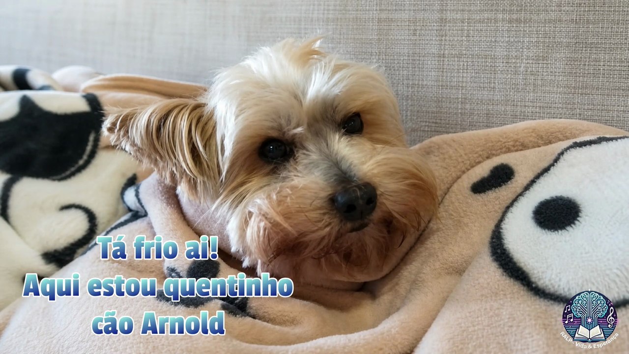 Arnold, o Cão Quentinho! Uma música infantil alegre e divertida sobre o cãozinho mais feliz
