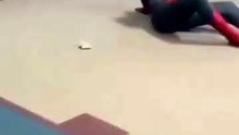 Spider-Man coming home 😂