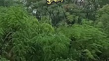 bhai saab samaj nahi a raha hai