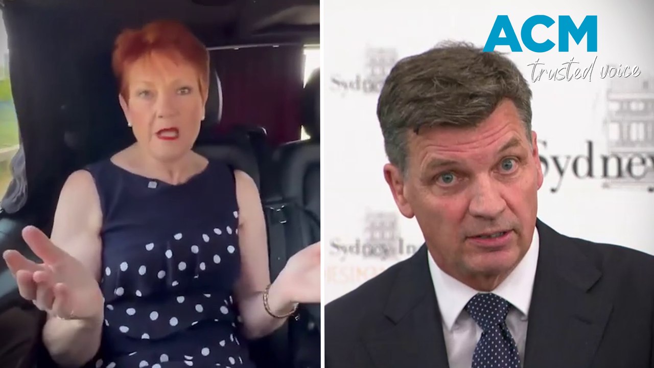 'I'm not your enemy': Pauline Hanson responds to Liberal's One Nation spray