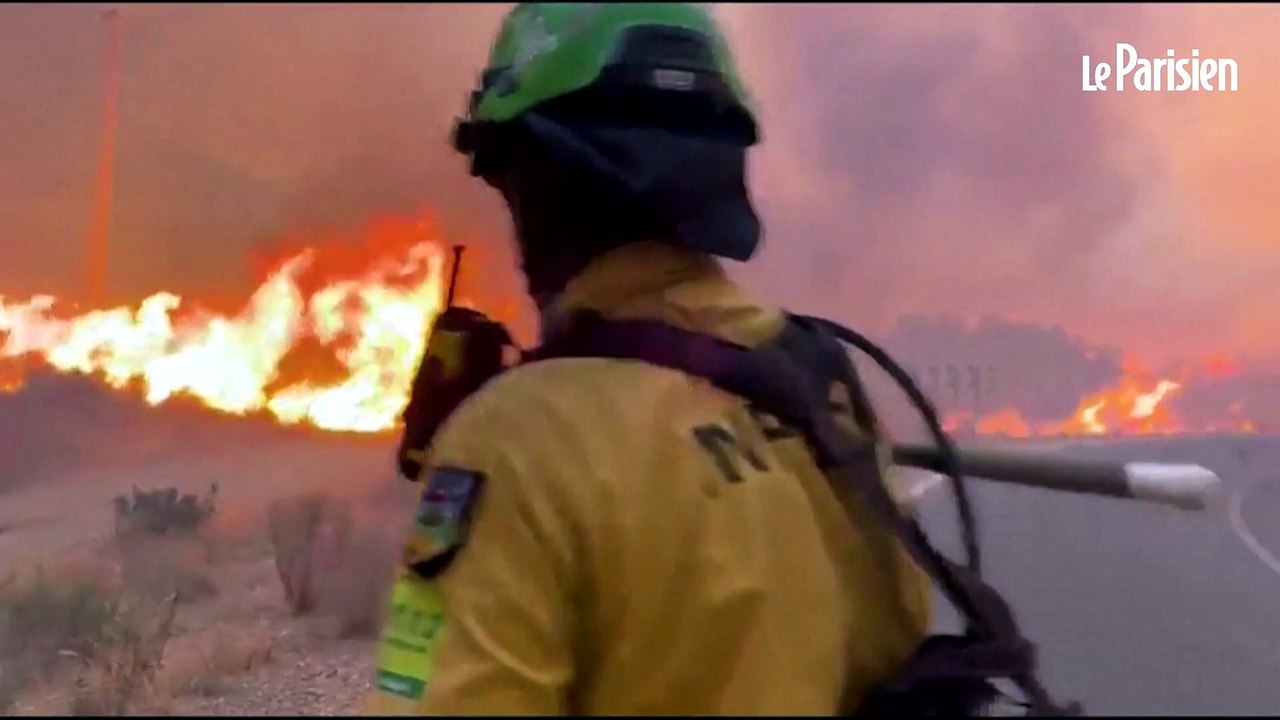 Espagne : un feu de forêt provoque la mort de 13 personnes en Andalousie
