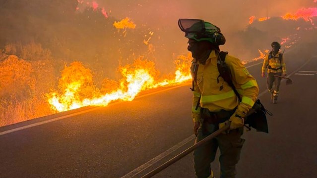 Al menos 11 muertos en el incendio forestal de Los Gallardos (Almería)