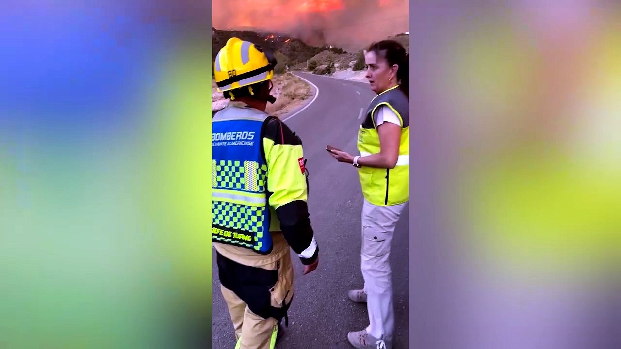 Trabajan ya 150 efectivos Infoca en Los Gallardos, Almería.