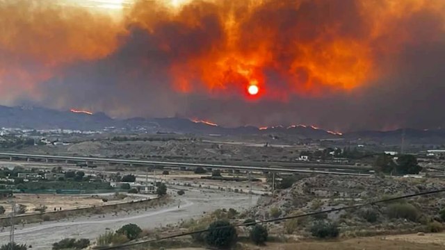 Varios muertos tras intentar huir del fuego en el incendio forestal de Los Gallardos (Almería)
