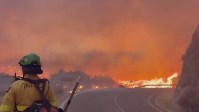 Primeras imágenes del brutal incendio en Los Gallardos (Almería)