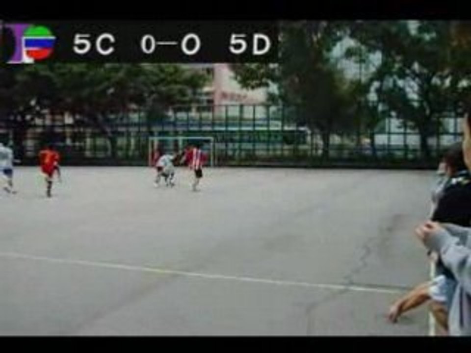 5c vs 5d lunar new year cup